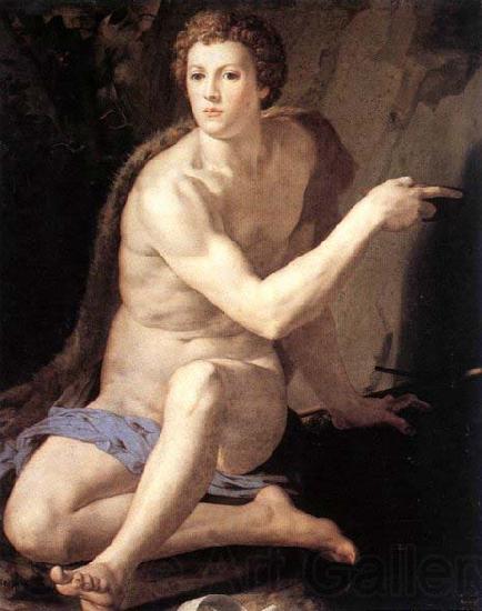 Agnolo Bronzino St John the Baptist